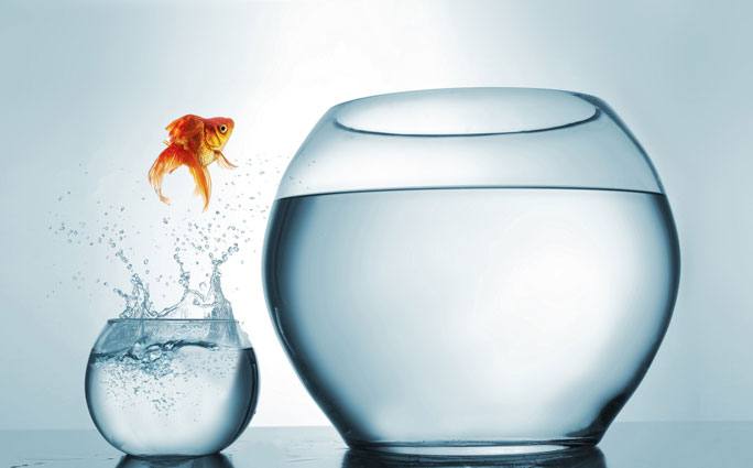 How Can an Attorney Move from a Small Boutique Firm to a Big Law Firm? How Can an Attorney Move from a Small Boutique Firm to a Big Law Firm?