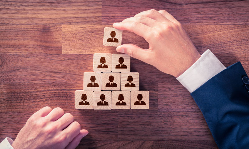 What is the Typical Law Firm Organizations Structure? What is the Hierarchy  of Different Positions Inside of Law Firms? | BCGSearch.com