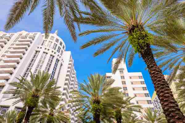 Miami Law Firms are Building Partnership with Foreign Firms