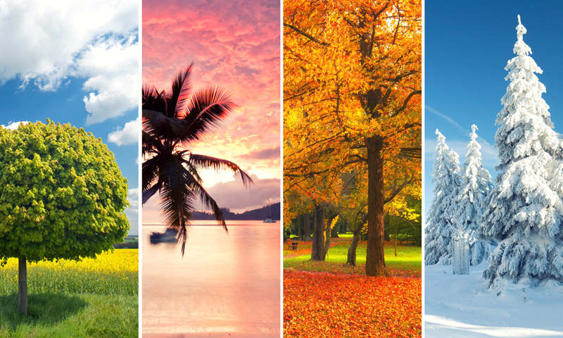 Economic Seasons Economic Seasons