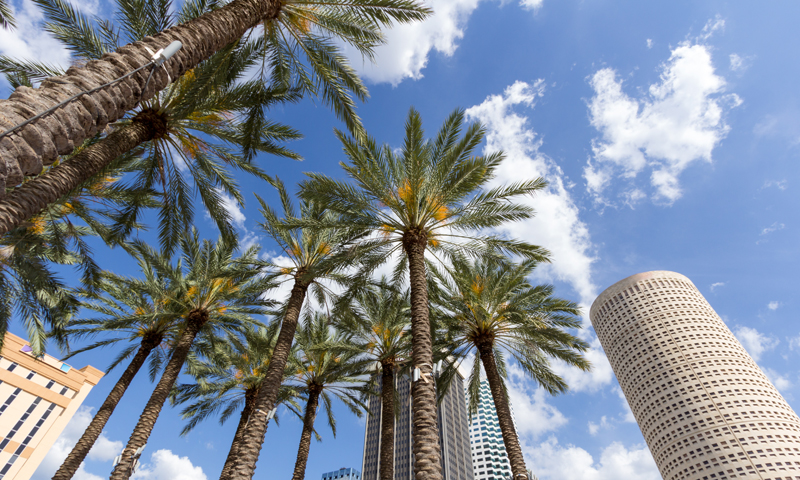 Junior Litigation Associate Relocating from Atlanta to Tampa Placed at Zuckerman Spaeder