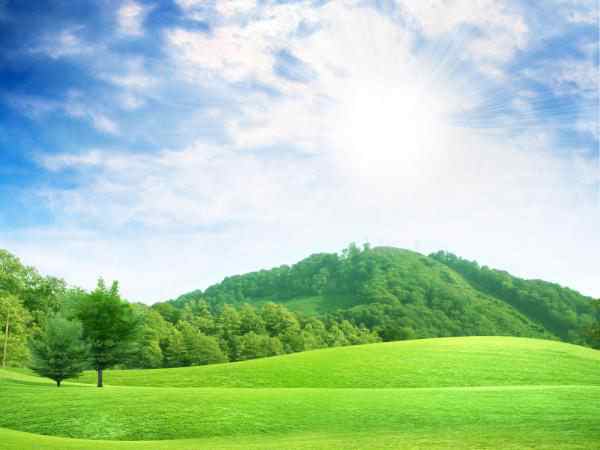 Looking for Greener Pastures Looking for Greener Pastures
