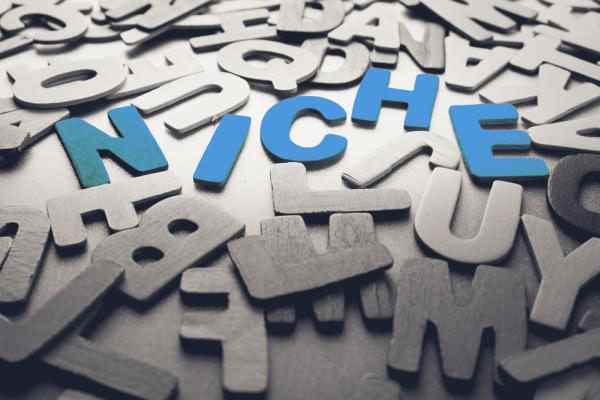 Niche marketing emerges as merger 'countertrend' Niche marketing emerges as merger 'countertrend'