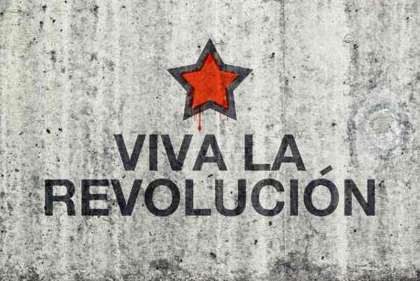 Vive la Revolucion!: The Professional Plan as Revolutionary Tool for Career Success Vive la Revolucion!: The Professional Plan as Revolutionary Tool for Career Success