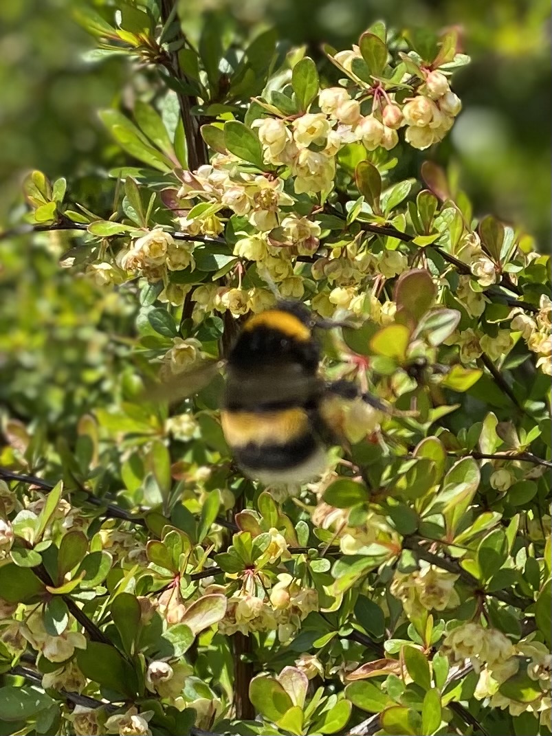 FMP Fuhrer Marbach & Partner Bern, Switzerland Office