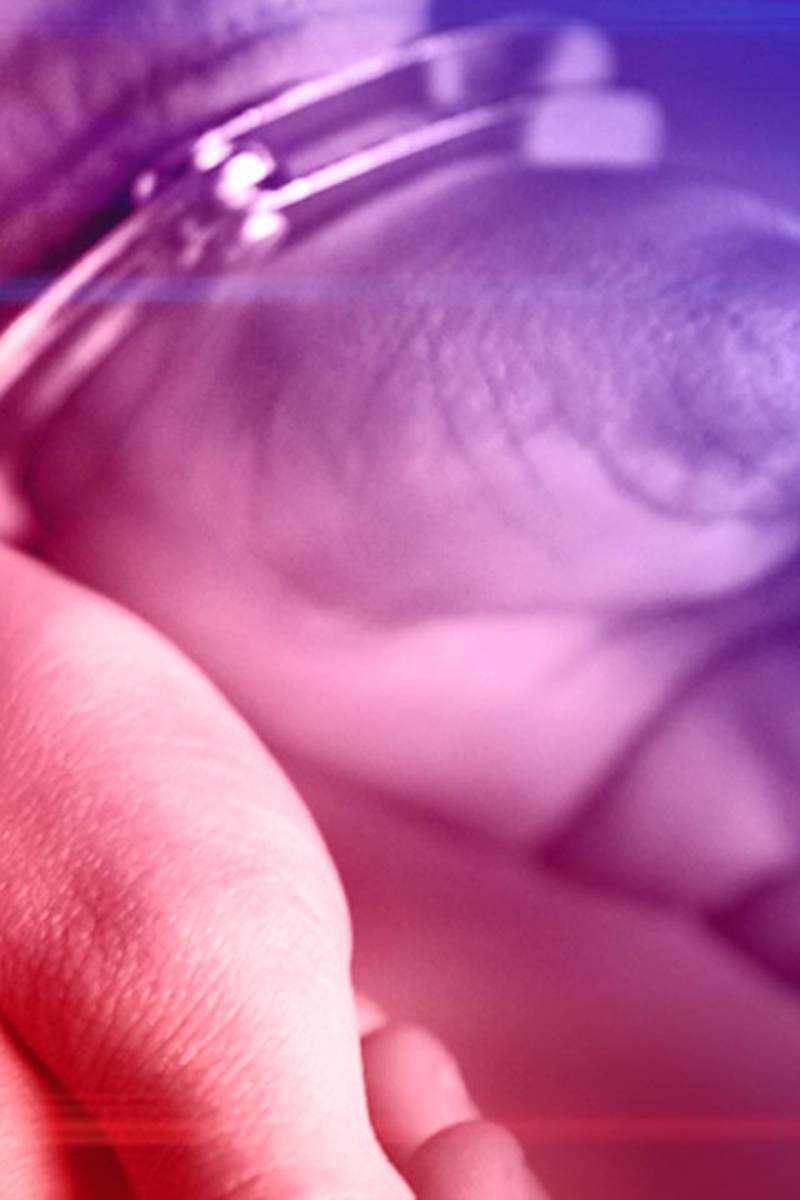 Angelina & Herrick, P.C Rolling Meadows, IL Office