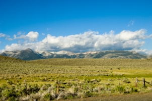 Alvarez-Glasman & Colvin, Attorneys At Law Santa Rosa, CA Office