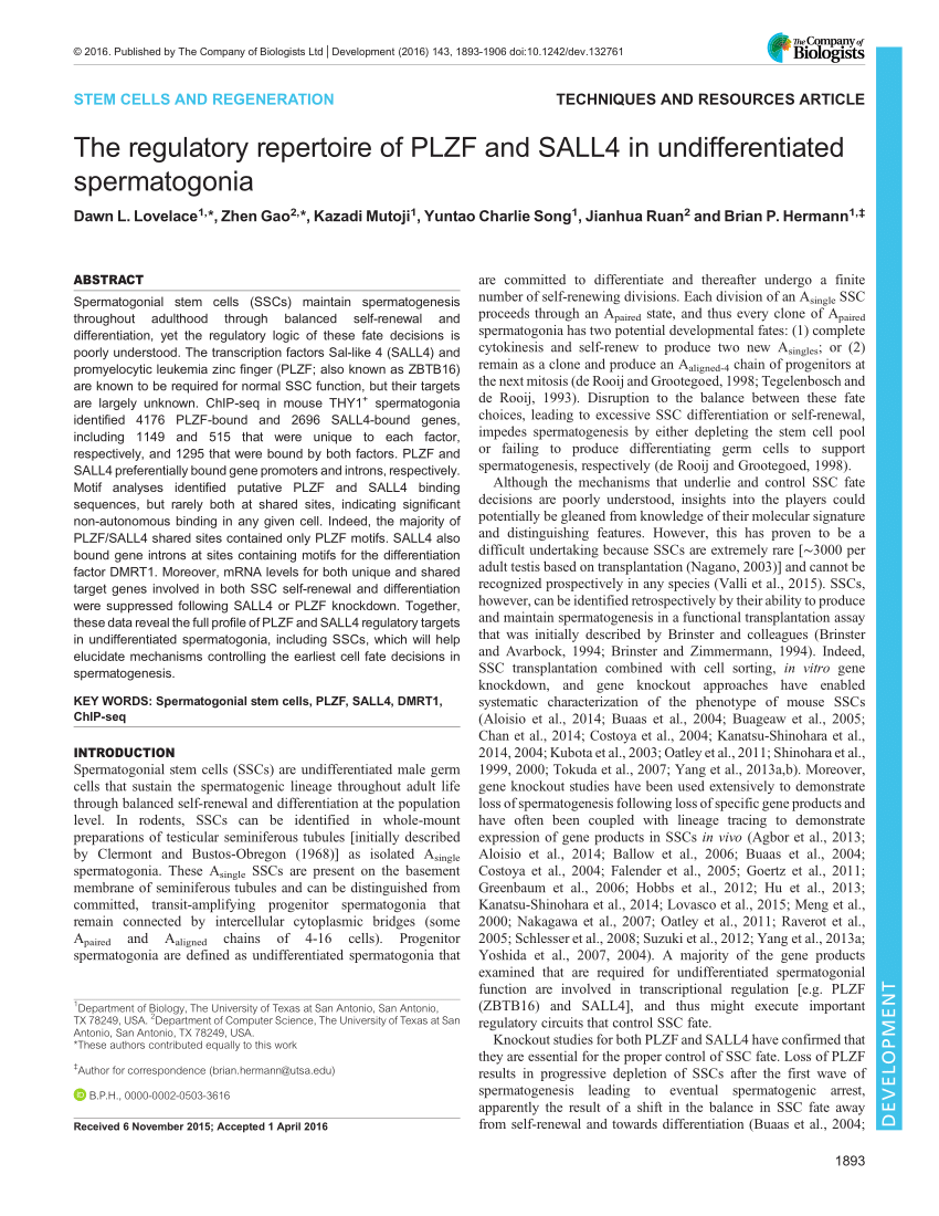 Brin & Brin, P.C San Antonio, TX Office