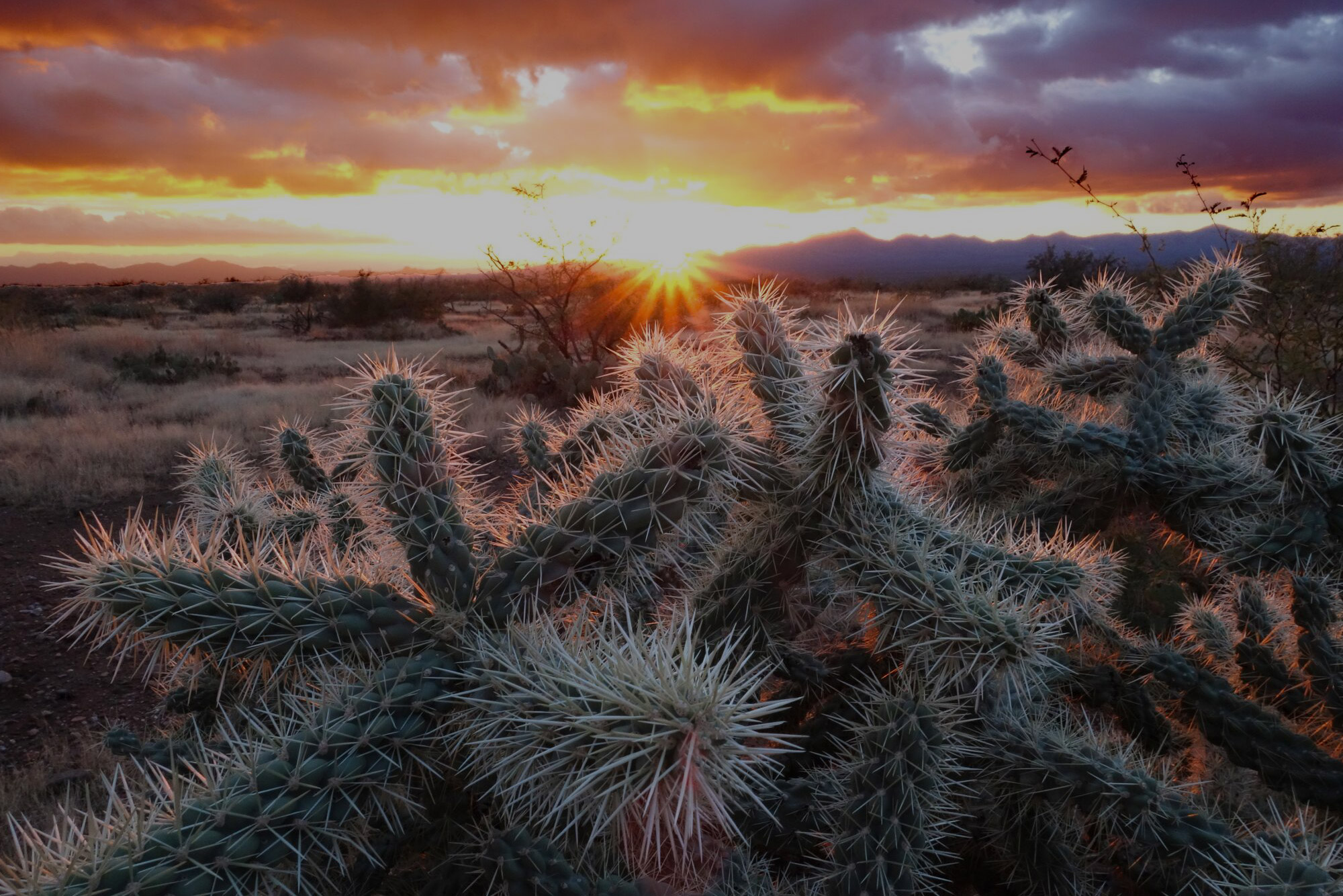 Vial Fotheringham LLP Lake Oswego, OR Office
