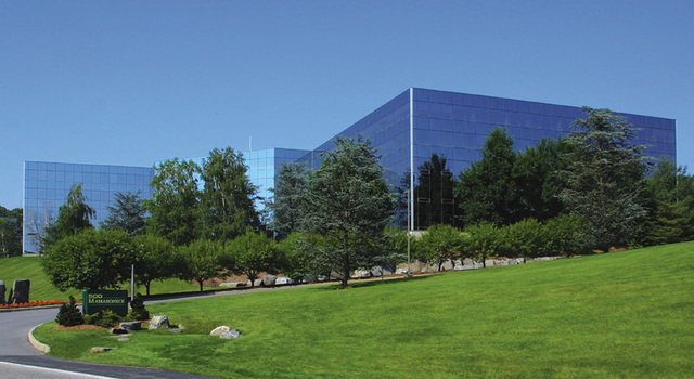 Amoruso & Amoruso Purchase, NY Office