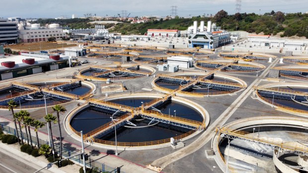 Nancy Bornn Playa del Rey,  Office