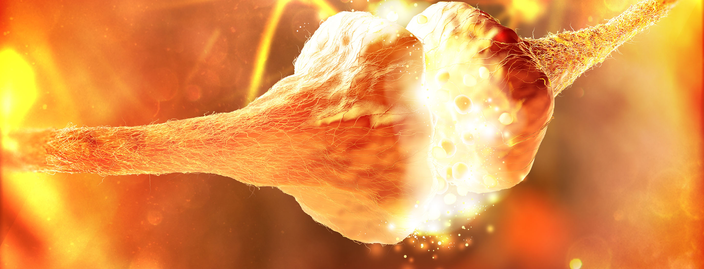 The Rex Carr Law Firm, LLC Belleville, IL Office