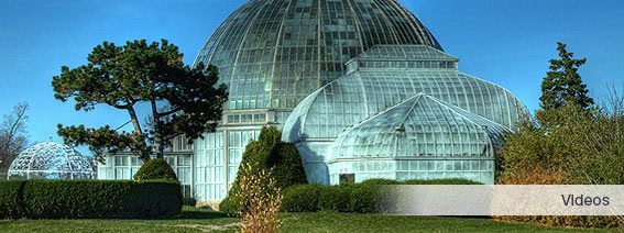 Nemeth Bonnette Brouwer PC Detroit,  Office