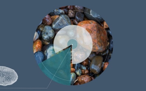 Altius Antwerp, South Africa Office