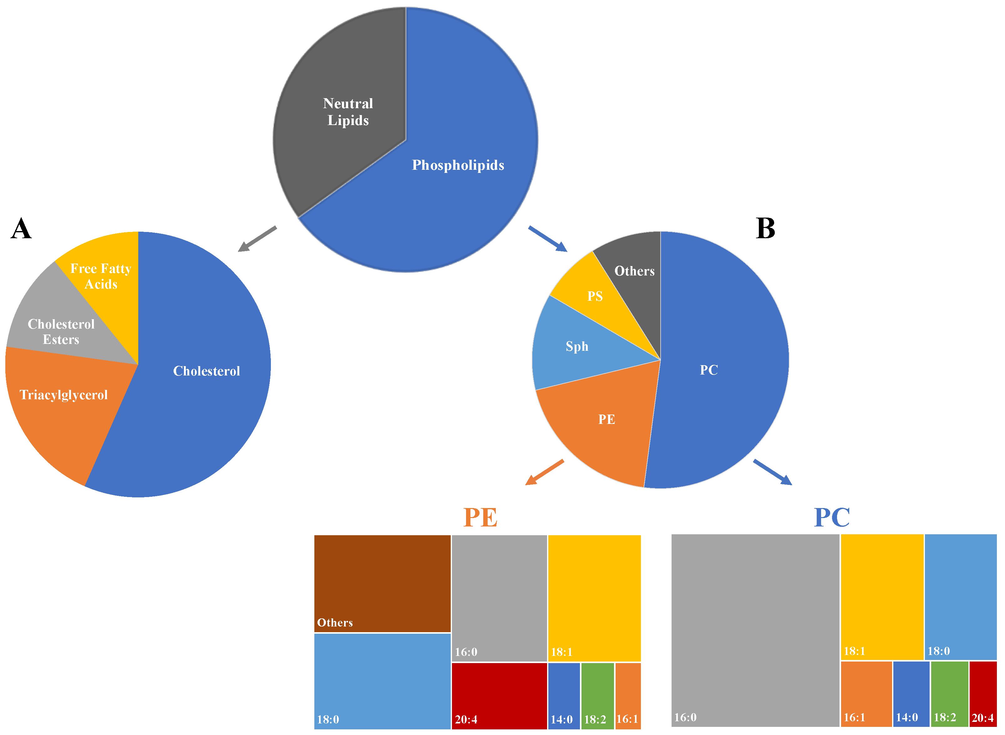 RA & Associates San Bernardino, CA Office