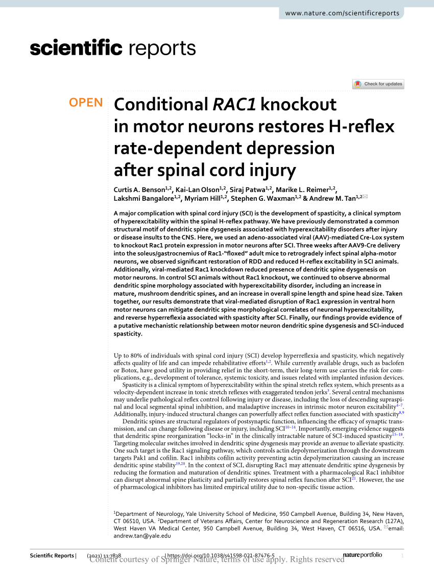 Stephen I. Small, LLC West Haven,  Office