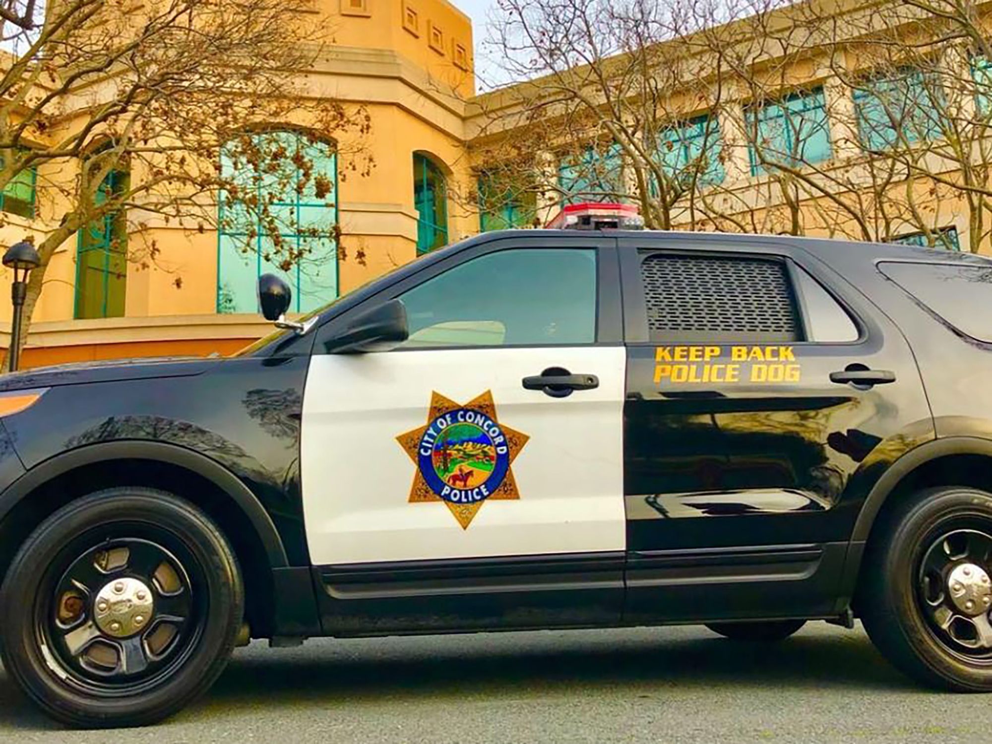 Visawolf Concord, CA Office