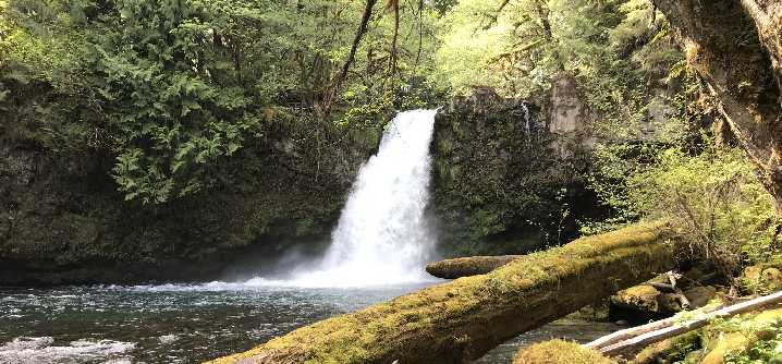 Dalton Law Office, PLLC Vancouver, WA Office
