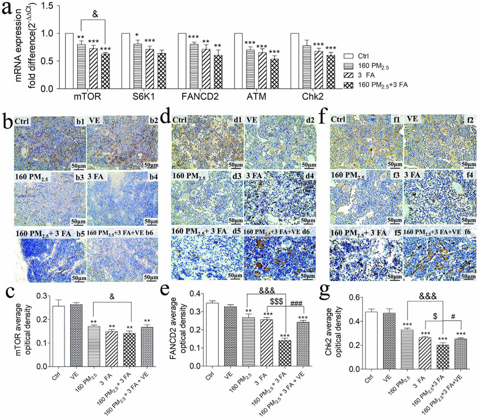 Lehman, Lee & Xu Tianjin, China Office