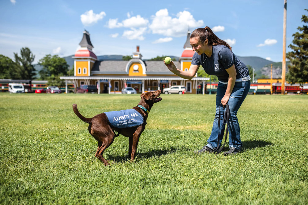 The Law Offices of Thomas E. Dewhurst III, PLLC Conway, NH Office