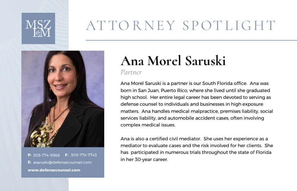 Mintzer Sarowitz Zeris Ledva & Meyers, LLP Hicksville, NY Office