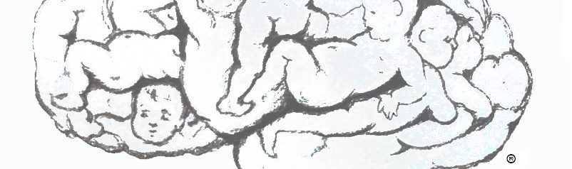 Delain Law Office, PLLC Schenectady, NY Office