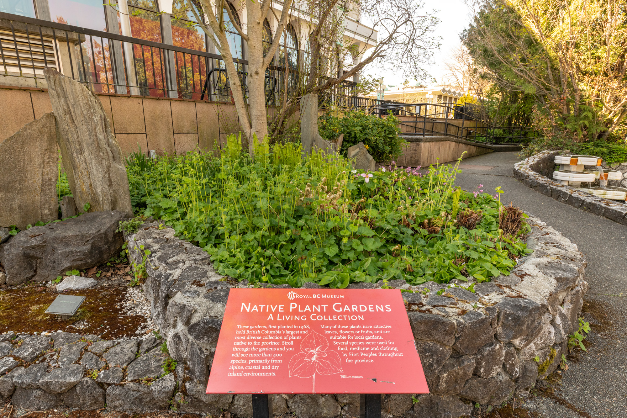 Hart Legal Victoria, Canada Office