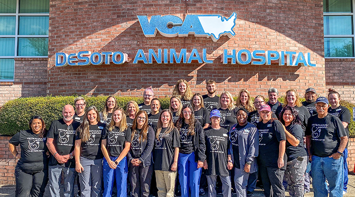 The Gibson Law Group De Soto, TX Office