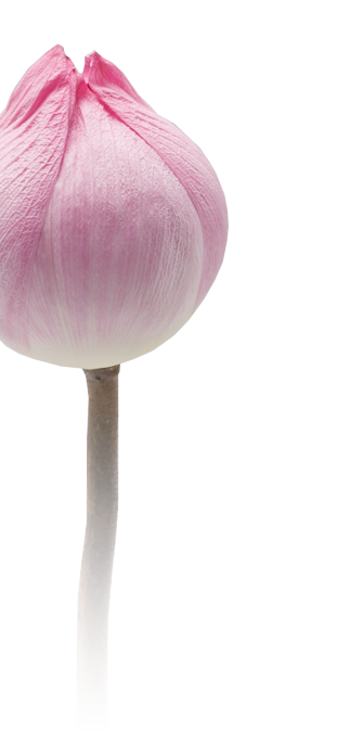 Rajah & Tann LCT Ho Chi Minh City, Vietnam Office