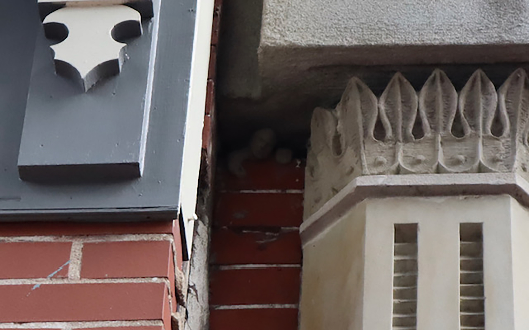 NH Partners Prague, Czech Republic Office