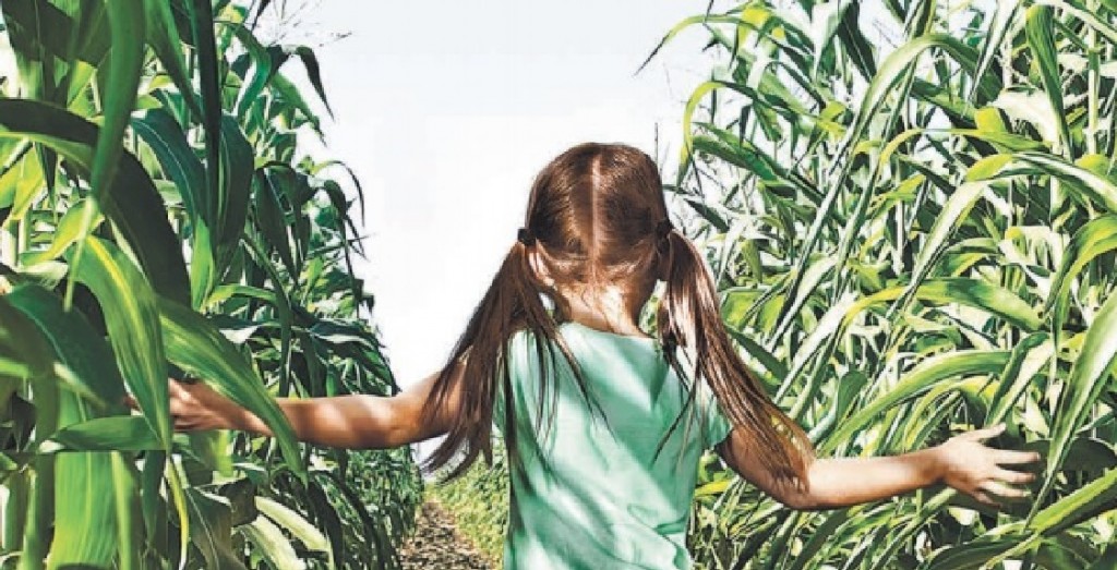 Wright & Moore Law Co. LPA Delaware,  Office