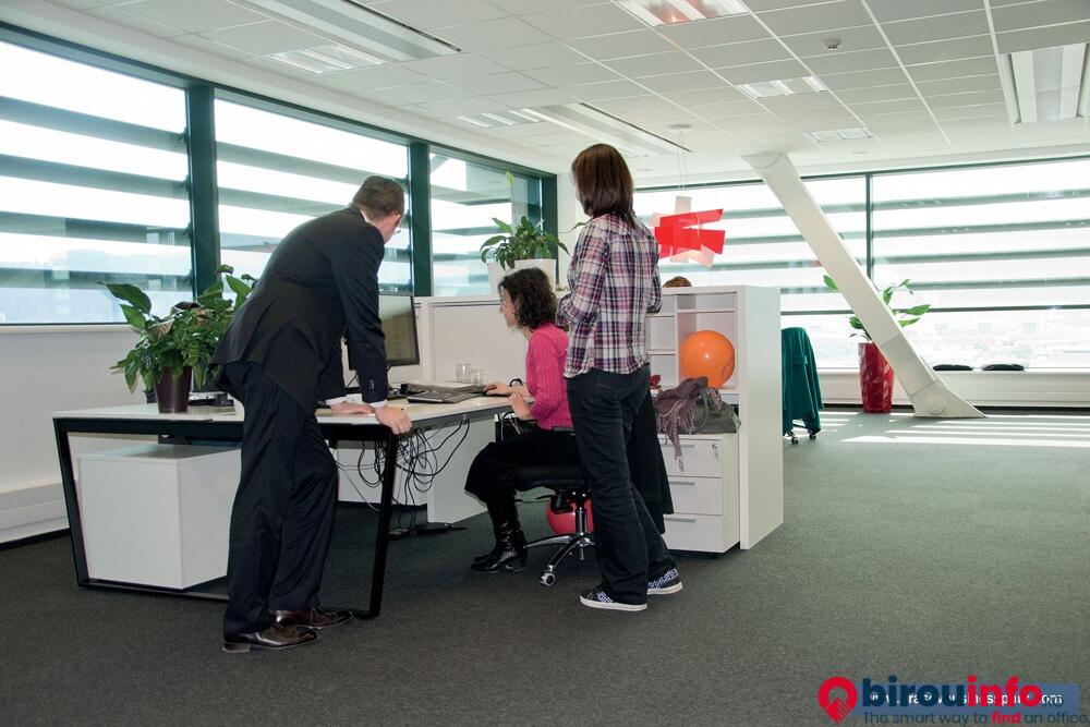 Nestor Nestor Diculescu Kingston Petersen SCA Brasov, Romania Office