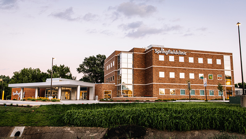 Heyl, Royster, Voelker & Allen, P.C Springfield, IL Office