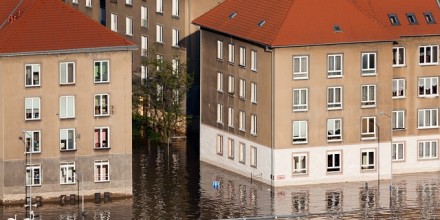 Zoecklein Law P.A Brandon,  Office