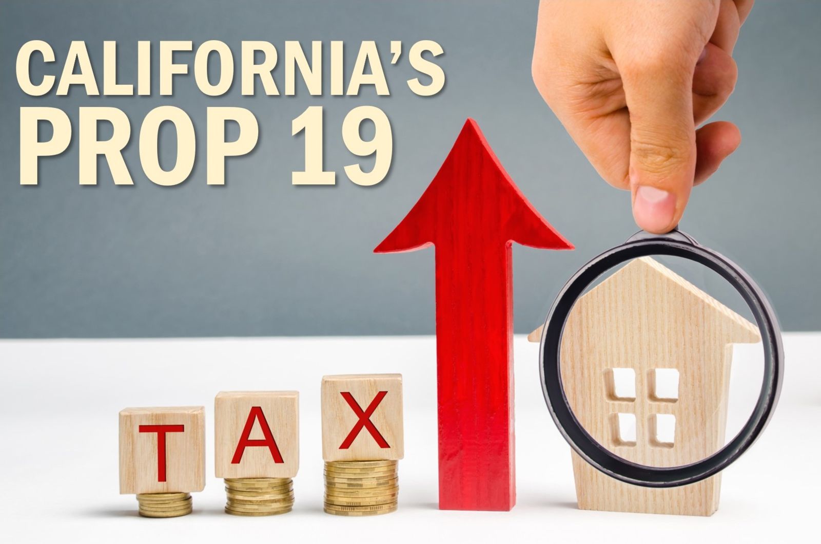 The Law Firm of Kavesh, Minor & Otis, Inc Torrance, CA Office