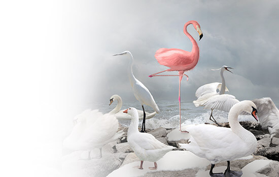 Kluger, Kaplan, Silverman, Katzen & Levine, P.L Minneapolis, MN Office