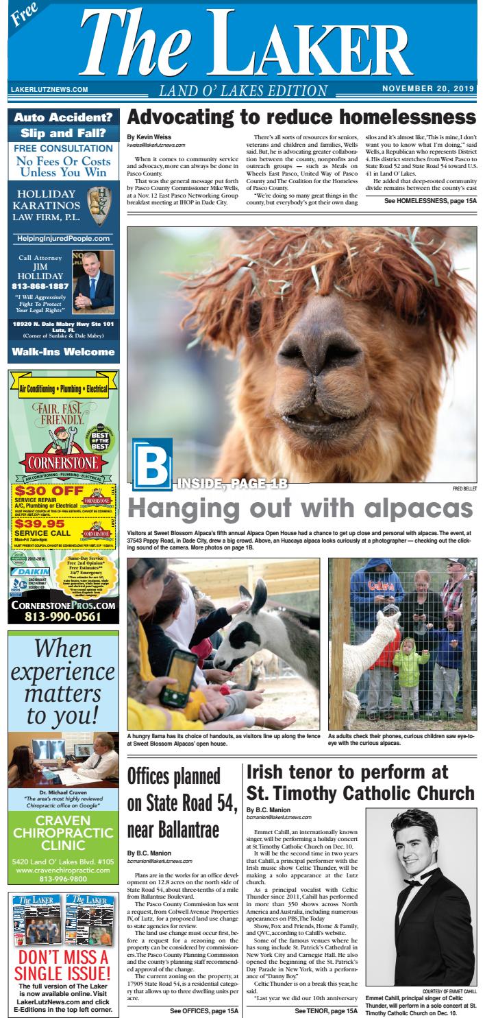 Bold Patents Lutz, FL Office