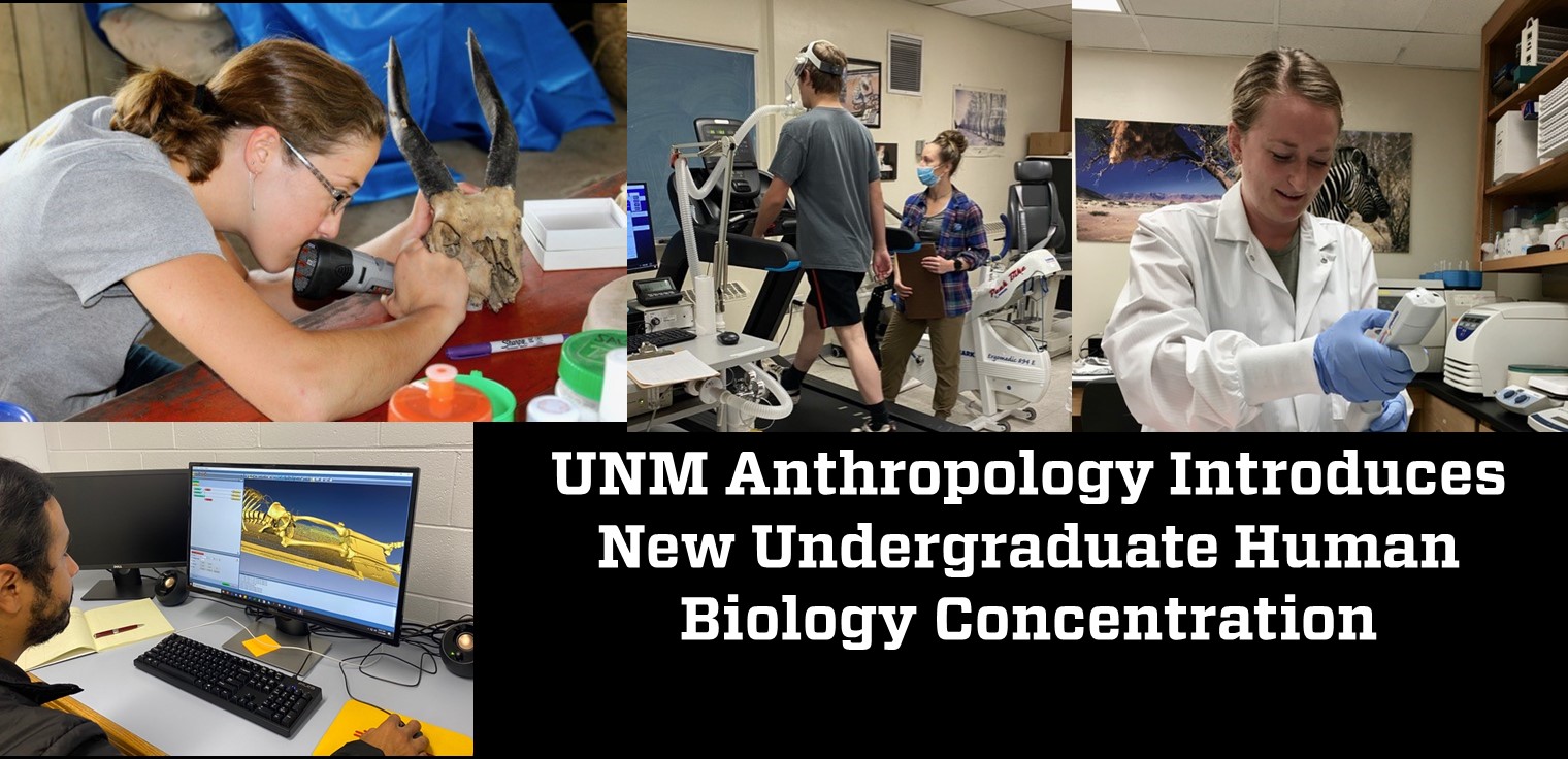 Chapman and Charlebois, PC Albuquerque,  Office