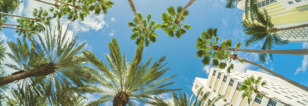 Shraybman Law, PLLC Miami Beach,  Office