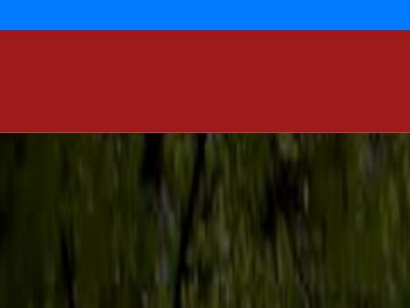 Jan Dils, Attorneys at Law, L.C Beckley, WV Office