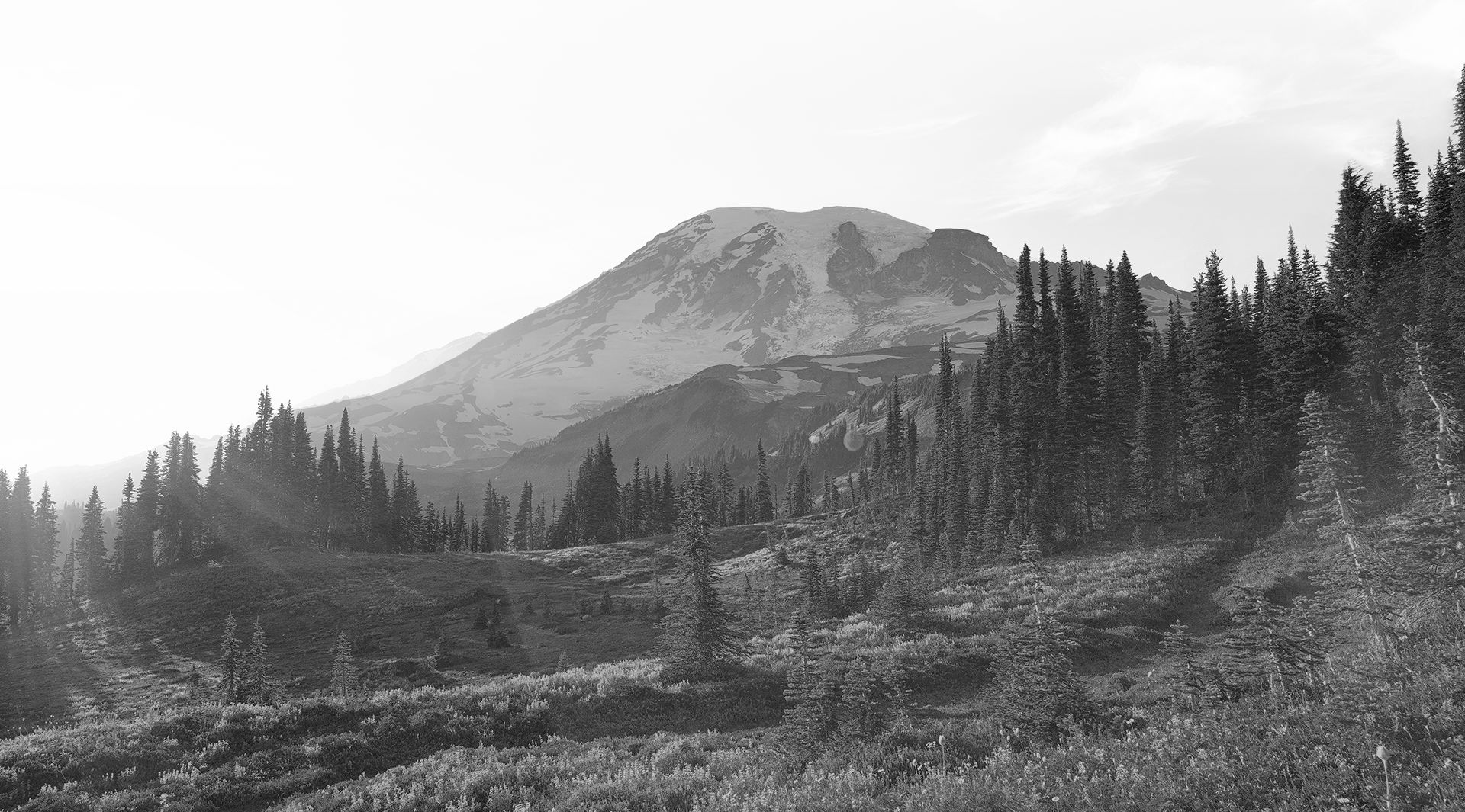 Phelps & Associates Spokane, WA Office