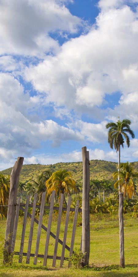The Law Office of Catherine Leas, P.C Sun City,  Office