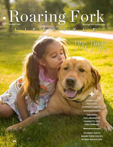 JVAM PLLC Glenwood Springs, CO Office