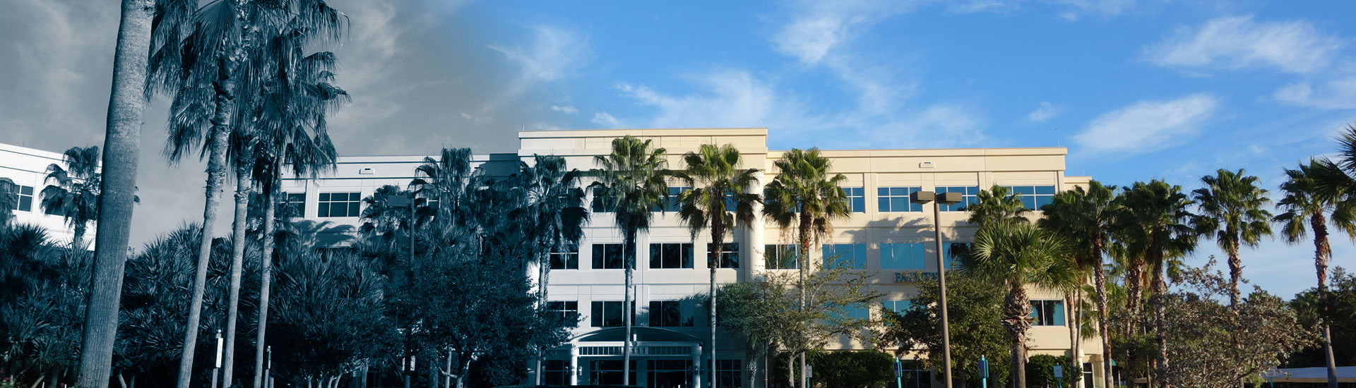 Schwed, Adams & McGinley, P.A Palm Beach Gardens,  Office