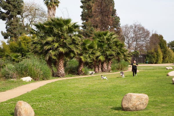 ADAMS ESQ Culver City, CA Office