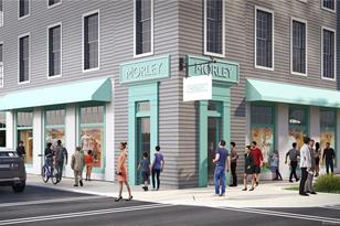 Nedder & Associates, LLC Darien,  Office