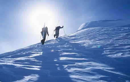 Shibley Righton LLP Toronto, Canada Office