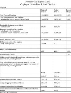 Davidson Fink LLP Rochester, NY Office