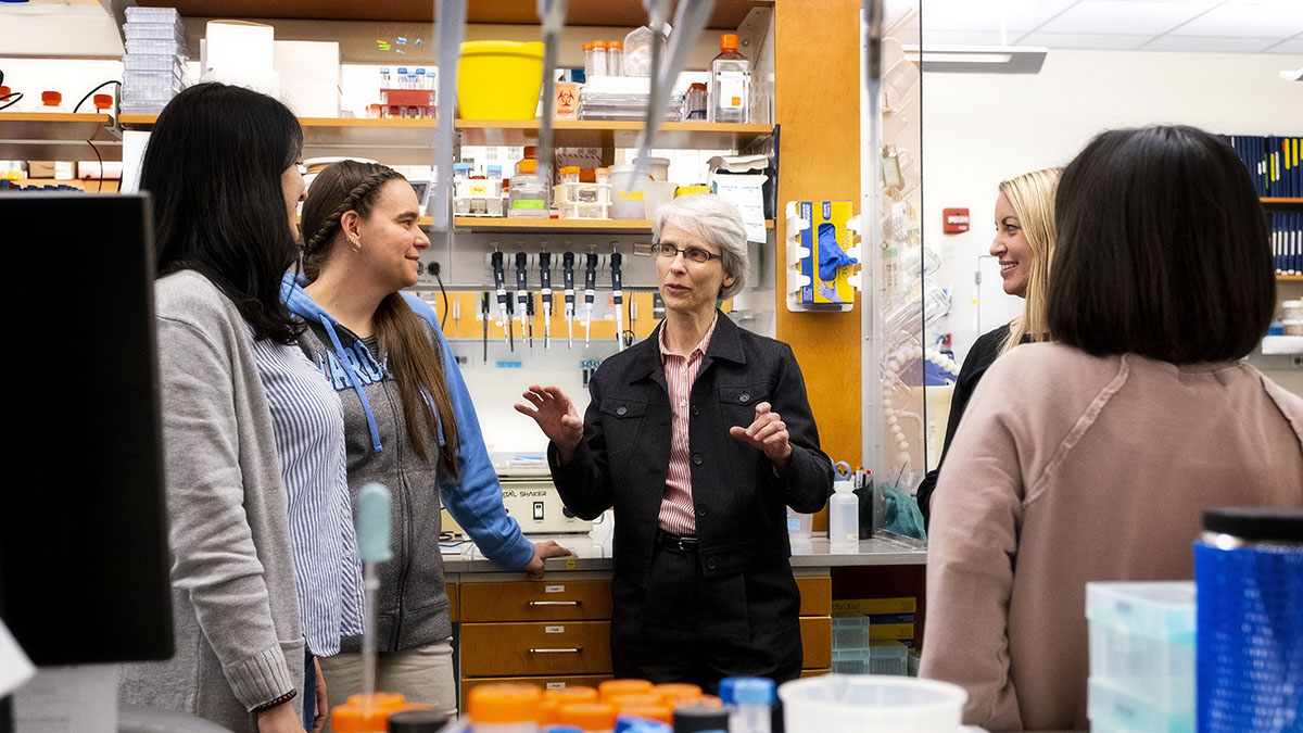 Bold Patents Chapel Hill, NC Office