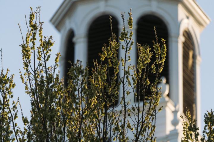 Margolis Bloom & DAgostino , United States Office